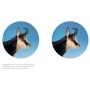 Swarovski Z6I II 5-30x50 P L BRX-I