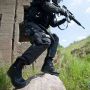 Ботинки HAIX RANGER GSG9-S