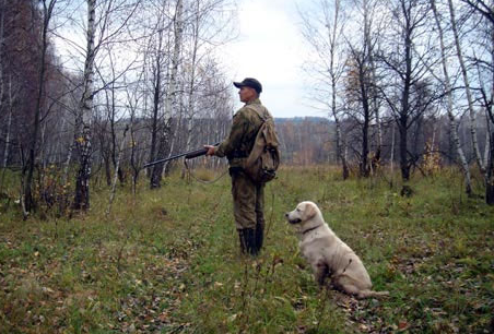 Классификация охотничьих пород собак. Подружейные собаки.